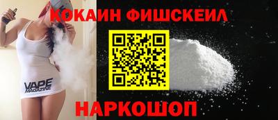 крисы Абакан