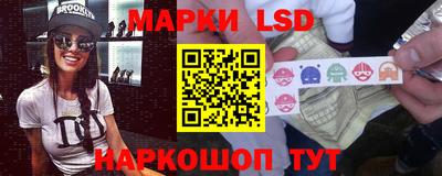 крисы Абакан