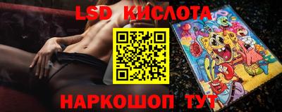 крисы Абакан