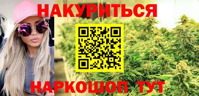 крисы Абакан