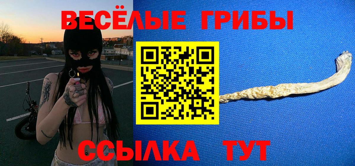 Галлюциногенные грибы Psilocybine cubensis  Галлюциногенные грибы Magic Shrooms  Алексеевка  Вход с VPN 